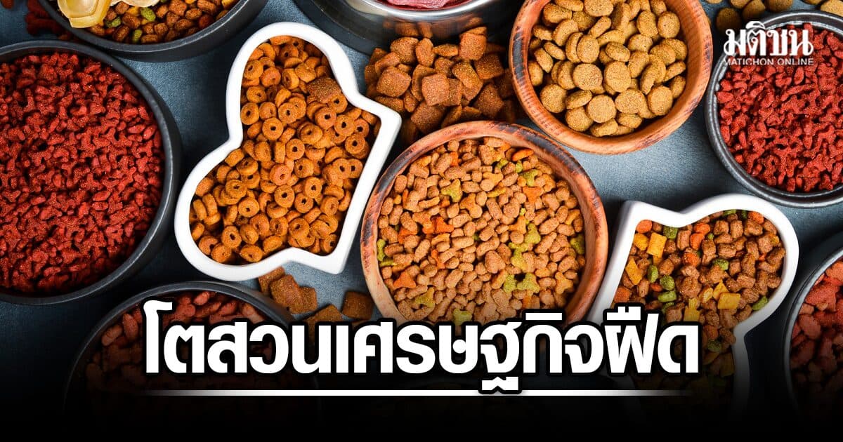 ส่งออกอาหารสัตว์เลี้ยงไทย โตสวนเศรษฐกิจฝืด ทะลุ 1 แสนล้านบาทต่อปี