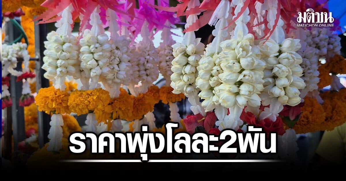 ใกล้วันแม่แห่งชาติ ผู้ค้าเผย ราคาดอกมะลิ ถีบตัวแรง พุ่งกิโลกรัมละ 2,000 บาท