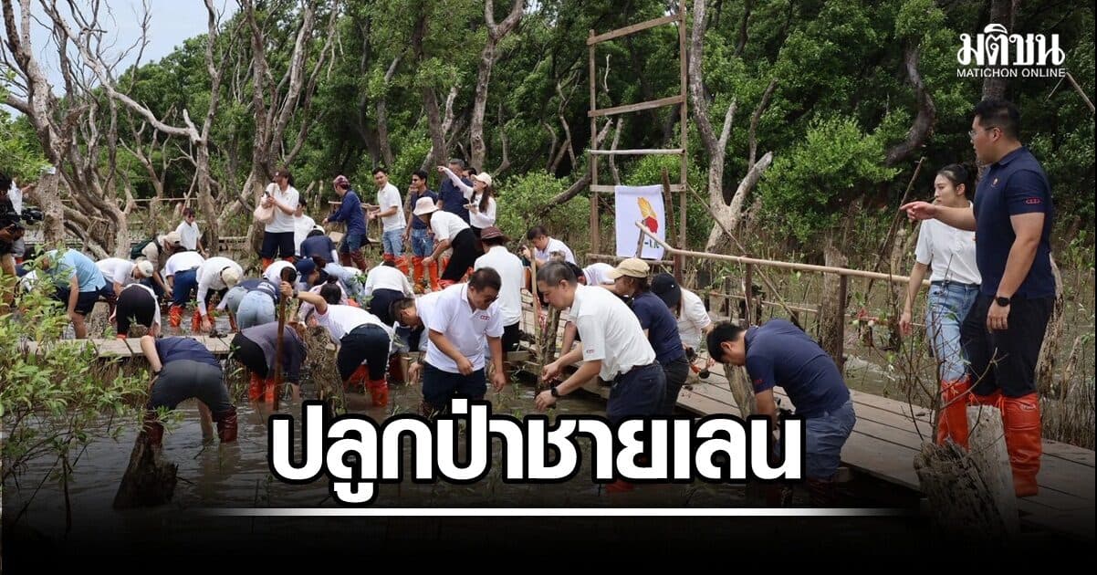 ไชน่าปิโตรเลียมเดินหน้ากิจกรรมปลูกป่าชายเลนในไทย ชูความร่วมมือสีเขียวไทย-จีน