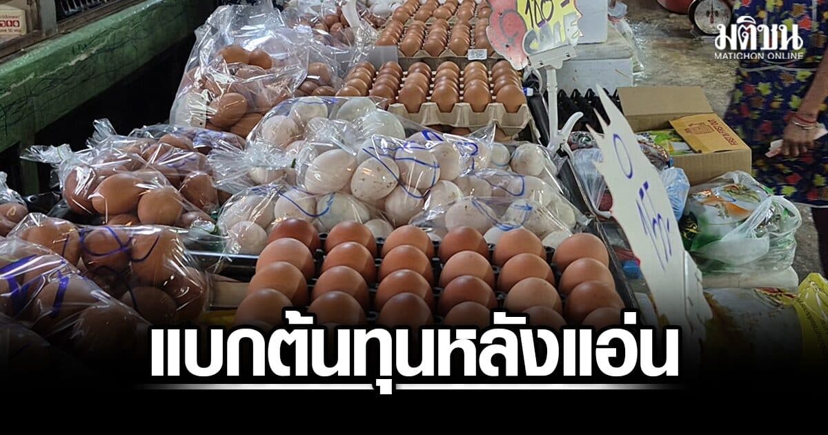 แม่ค้าโอด แบกต้นทุนหลังแอ่น ไข่ไก่ขึ้นราคา คาดแพงสูดในรอบ 10 ปี วอน นายกฯ หามาตรการช่วย
