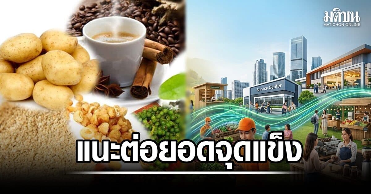 นักวิชาการ แนะไทยต่อยอดจุดแข็ง ดันภาคเกษตร-บริการเชื่อมผลิต เร่งเศรษฐกิจโต 3%