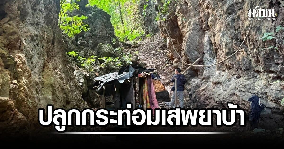ทลายถ้ำหิน! รวบ 5 โจ๋แม่จัน ปลูกสร้างกระท่อม มั่วสุมเสพ-จำหน่ายยาเสพติด
