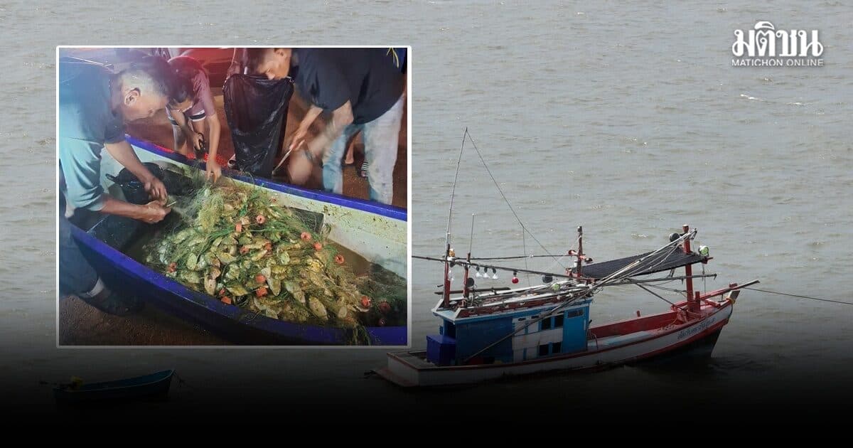 ประมงพื้นบ้านโรงโป๊ะ ออกเรือวางอวน ผงะพบ ‘ปลาหมอคางดำ’ ติดอวน 200 กก. ไร้ปลาชนิดอื่นแม้แต่ตัวเดียว