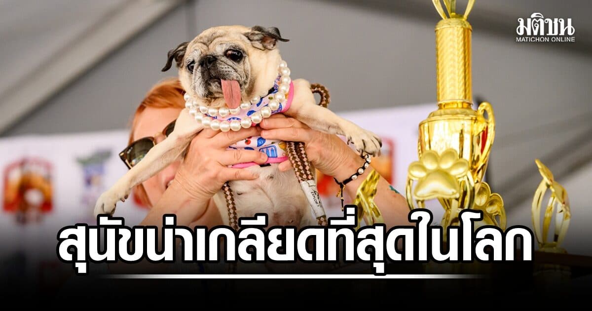 เปิดโฉมหมาปั๊ก ผู้ชนะการประกวดสุนัขที่น่าเกลียดที่สุดในโลก 2026