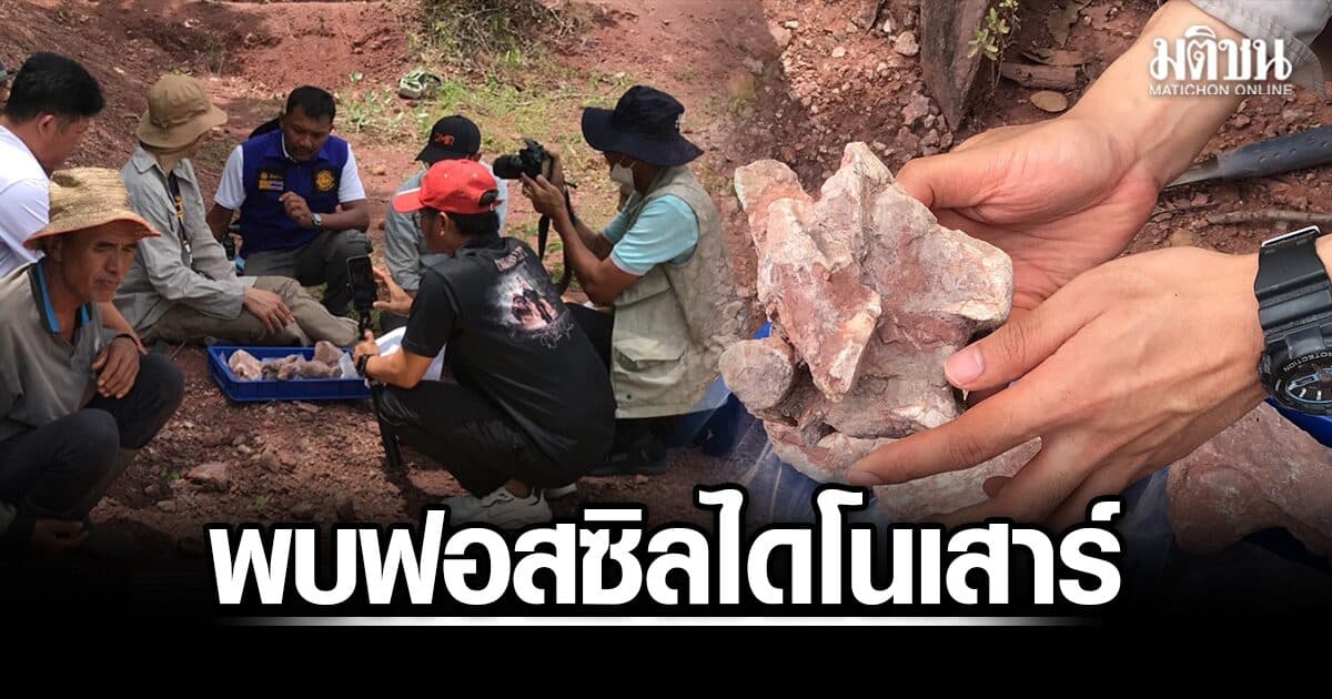 พบฟอสซิลไดโนเสาร์คล้ายฉลามยักษ์ ชนิดกินเนื้อ อายุกว่า 130 ล้านปี คาดมีอายุมากกว่านาคาไททัน